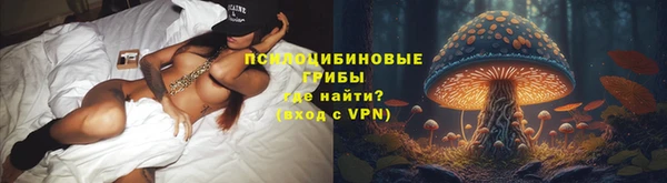 метадон Аркадак