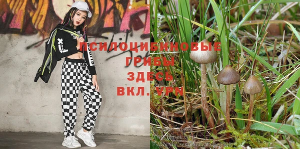метадон Аркадак
