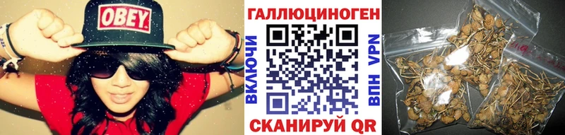 маркетплейс как зайти  купить наркотики цена  Самара  Галлюциногенные грибы Cubensis 
